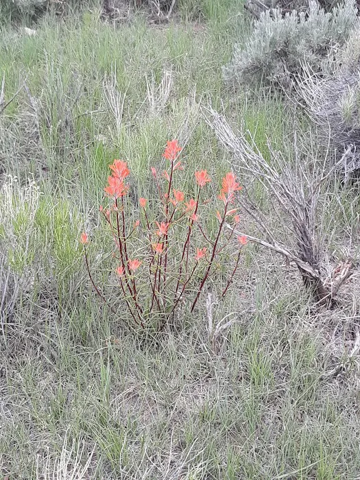 Slate Creek Campground 8