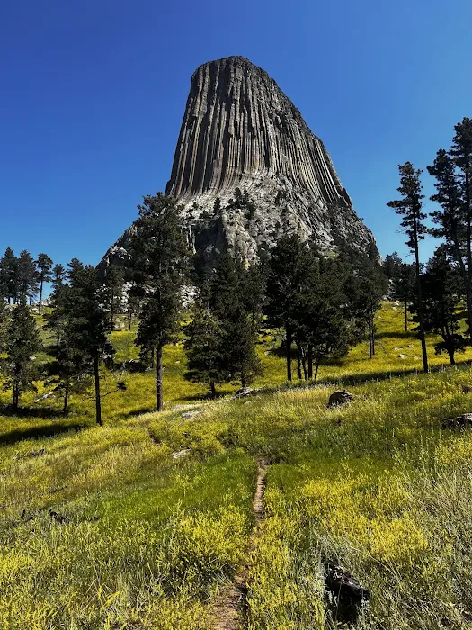 Screaming Eagle Campground 5