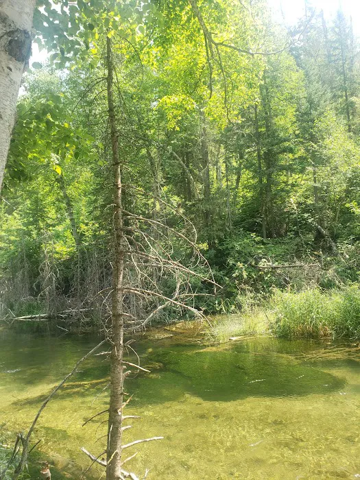 Screaming Eagle Campground 3