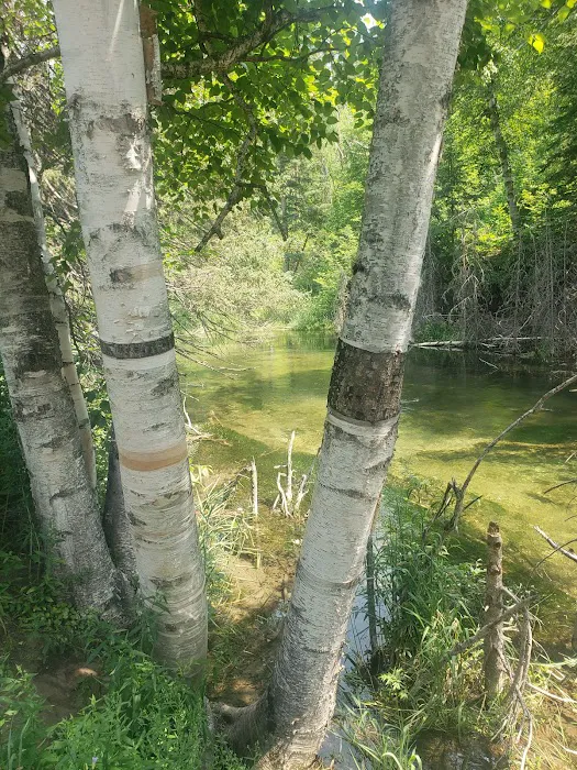 Screaming Eagle Campground 9