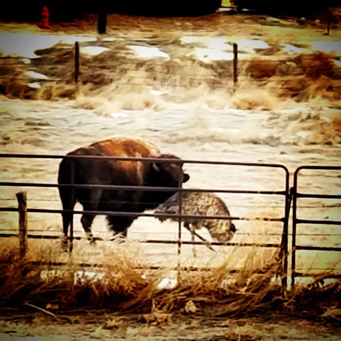 Chuck Wagon RV Park 8