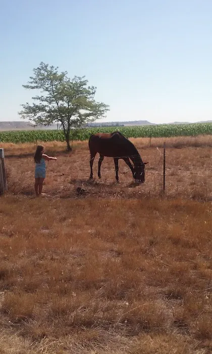 Pony Soldier RV Park 1