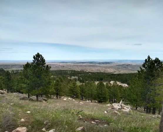 Esterbrook Campground