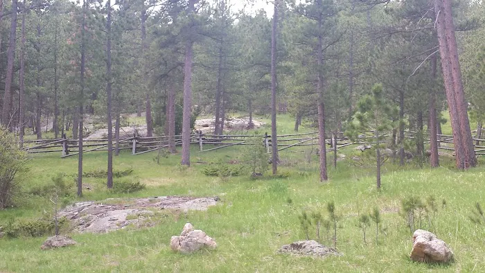 Esterbrook Campground 3