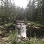 Big Sandy Campground