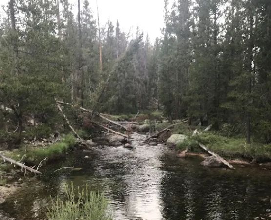 Big Sandy Campground