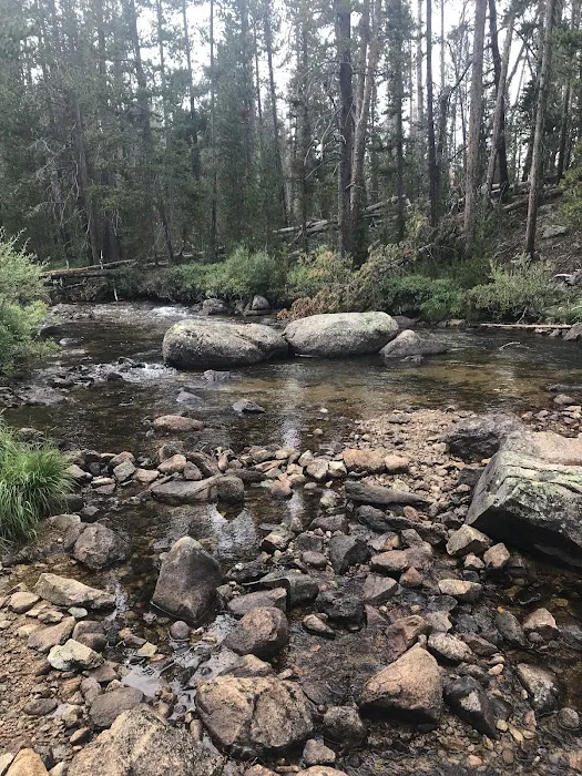 Big Sandy Campground 5