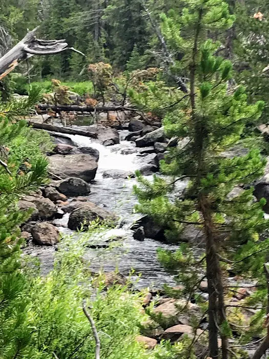 Big Sandy Campground 3