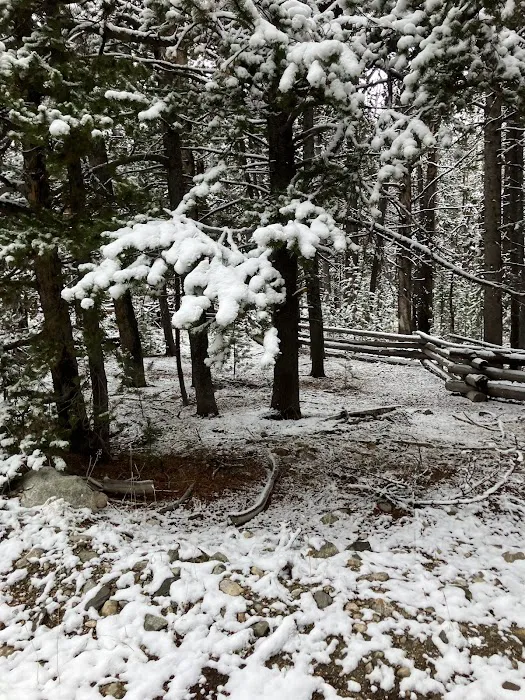 Big Sandy Campground 8