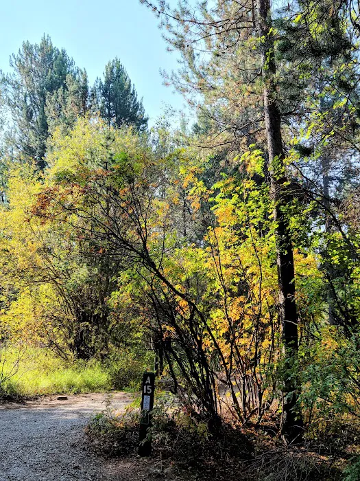 Alpine North Loop Campground 2