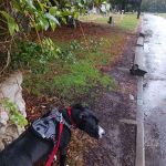 Sanborn Rv Campground