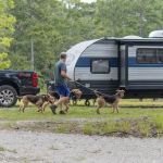 Shellring RV Park