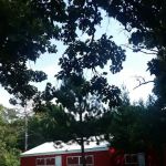 Sherburne County Camp