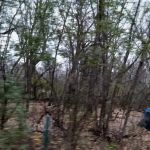 Camp Cozy Park (No Camping)