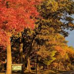 Half Moon Lake Resort