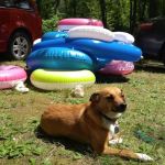 Wapiti Park Campground Is Officially closed