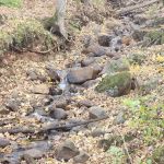 St. Croix Campground