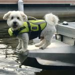 Lakeside Manor & RV Park