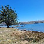 Westside Regional Park and Campground