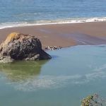 Sonoma Coast State Park