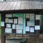 Lick Fork Lake Campground