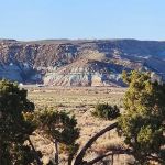 Willow Springs Designated Camping