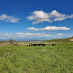 San Emigdio Campground