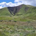 Wind Wolves Preserve