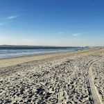 Silver Strand State Beach