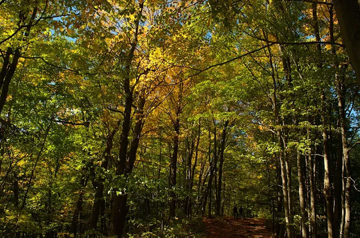 Rouge National Urban Park 8