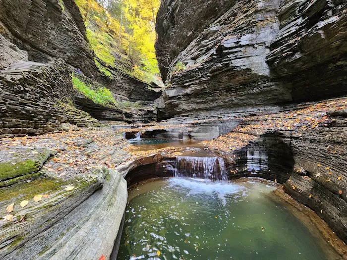 Watkins Glen State Park 0