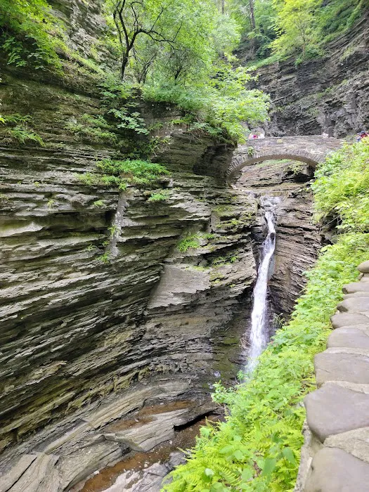 Watkins Glen State Park 4
