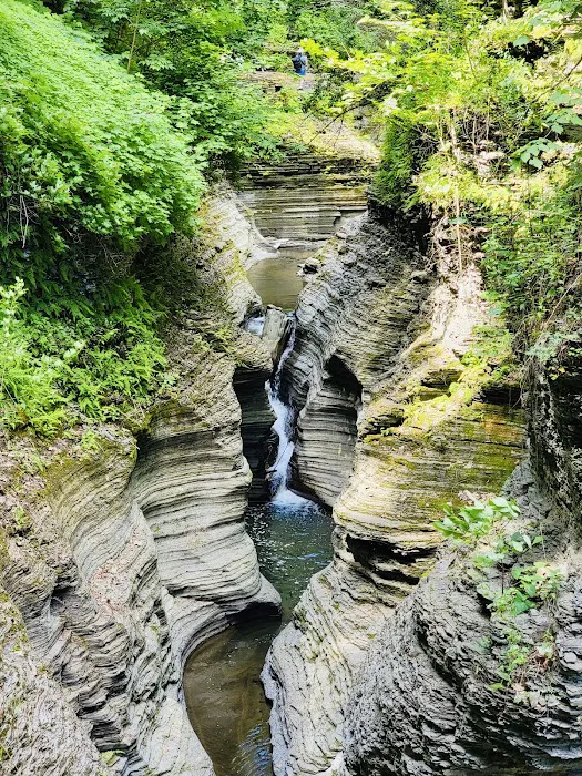 Watkins Glen State Park 7