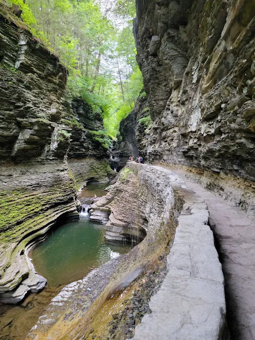 Watkins Glen State Park 6