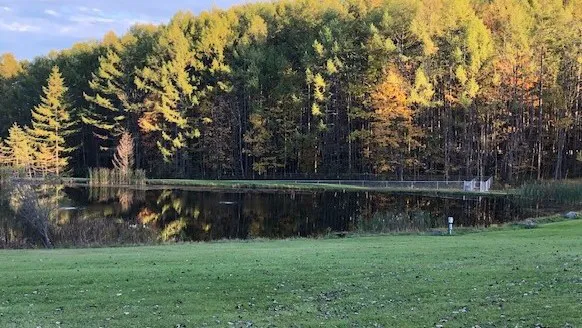 Houghton / Letchworth KOA 2