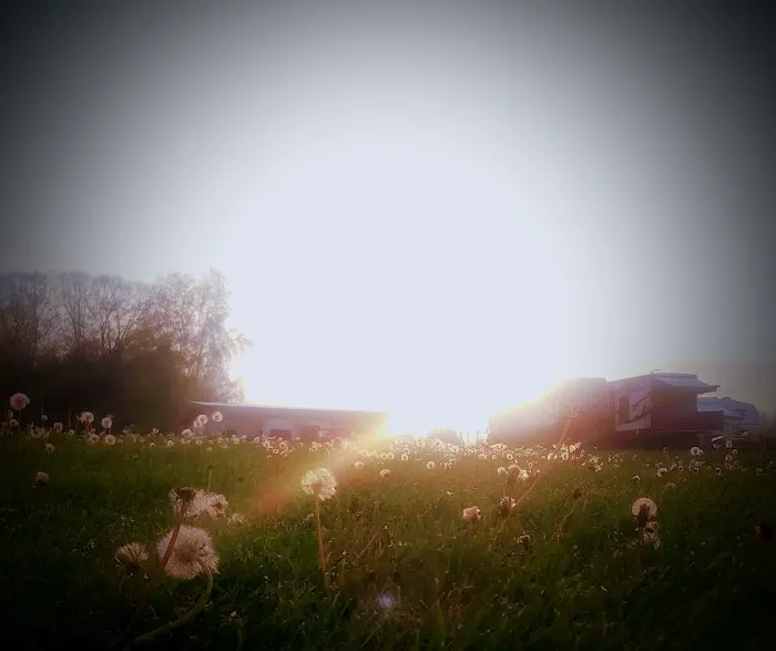 Skybrook Campground 3