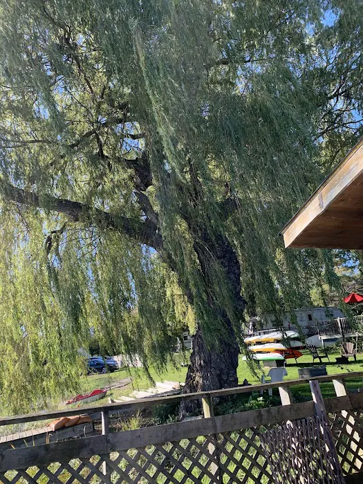Wellers Bay Campground 7