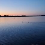 Log Cabin Point Cottage Resort