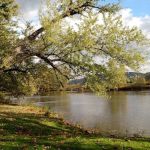 Riverview Campground