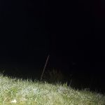 Penn Highlands Campground