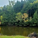 Anglers Rest Campground