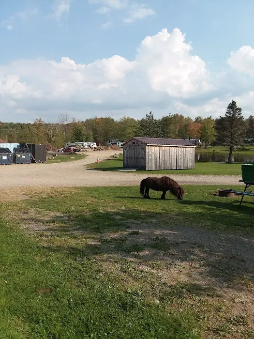 Family Affair Campground 3