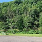 Ridgway Mills Campsites