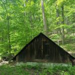 Tiadaghton Campground