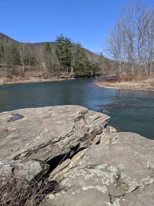 Tioga State Forest Office 0