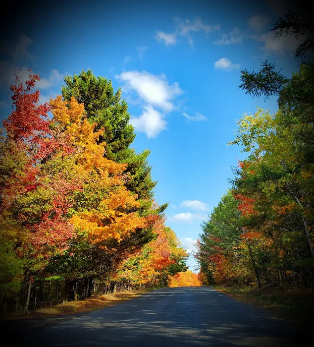 Tioga State Forest Office 6