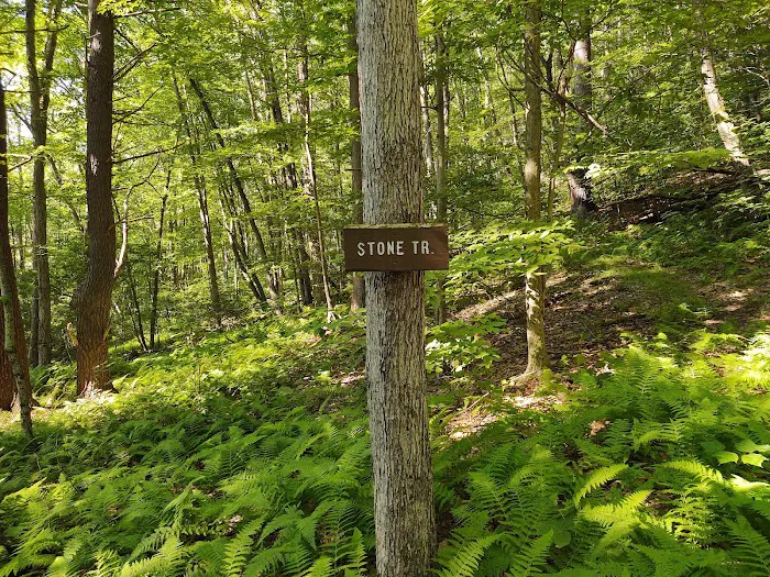 Tioga State Forest Office 8