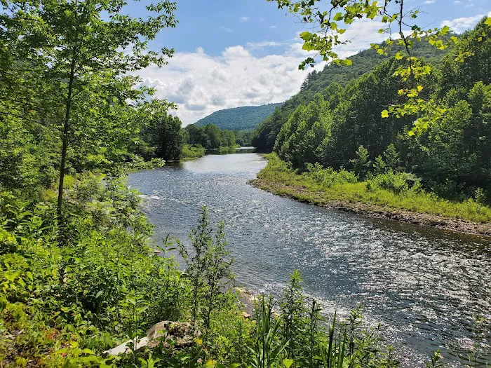 Tioga State Forest Office 5