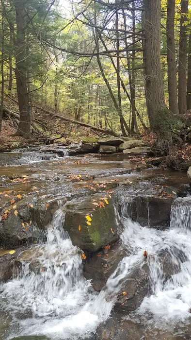 Tioga State Forest Office 2