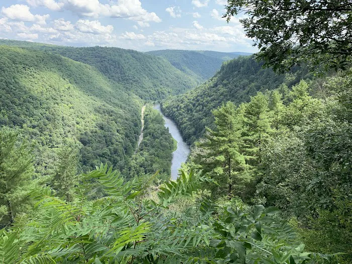 Tioga State Forest Office 1